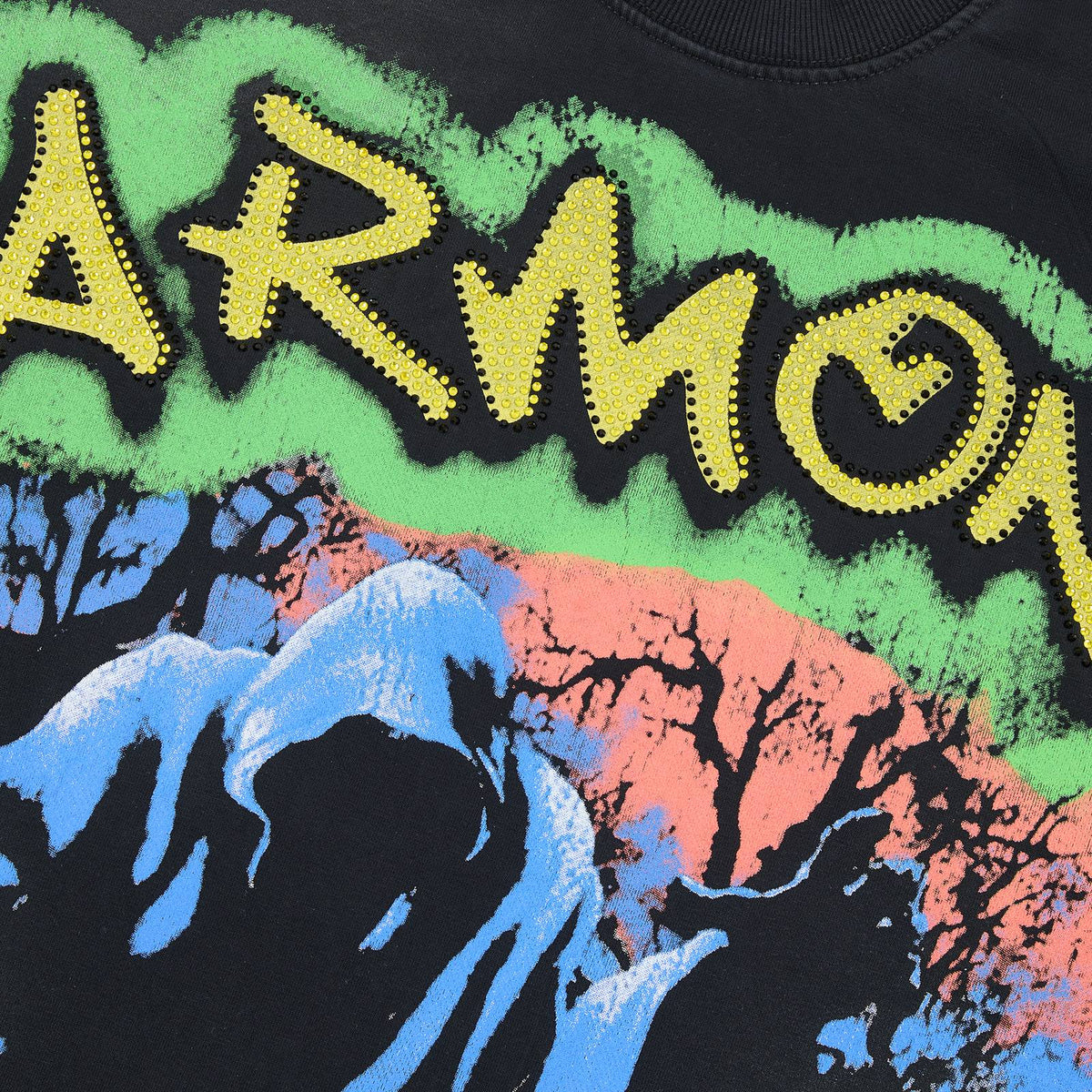 HARMONY Raw-Edge Graphic T-Shirt — detail