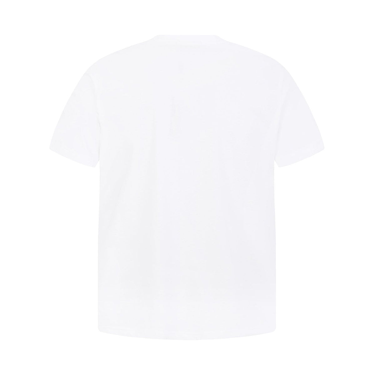 Test2-Ralph Lauren Embroidered Three-Button Henley Shirt — back